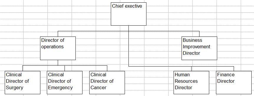 draw an organisation chart on a worksheet