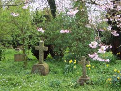 St Martins churchyard at Easter