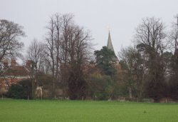 St Martins and Court Lodge from South