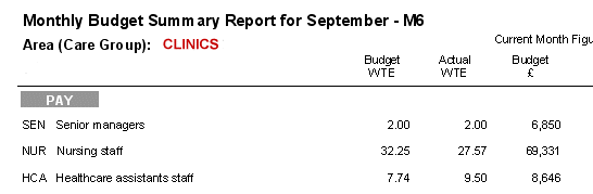 A budget report including a program variable in the title